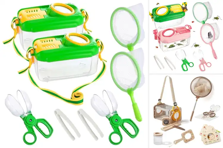 Detailed view of Best Bug Catcher Sets For Kids