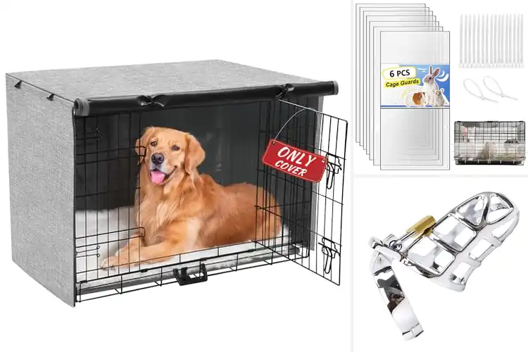 Detailed view of Best Durable Protective Cage