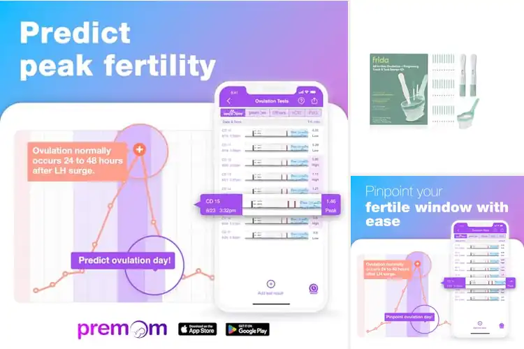 Detailed view of Best Fertility Tracking Pregnancy Tests