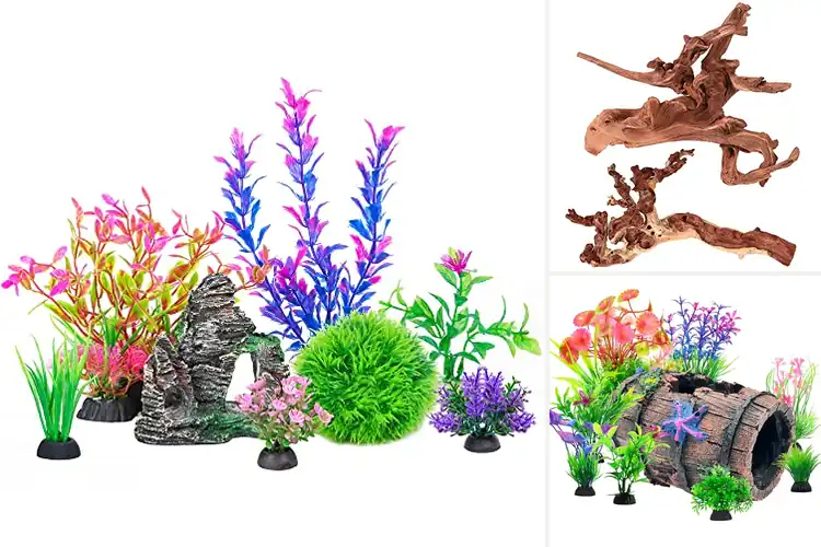 Detailed view of Best Fish Tank Accessories
