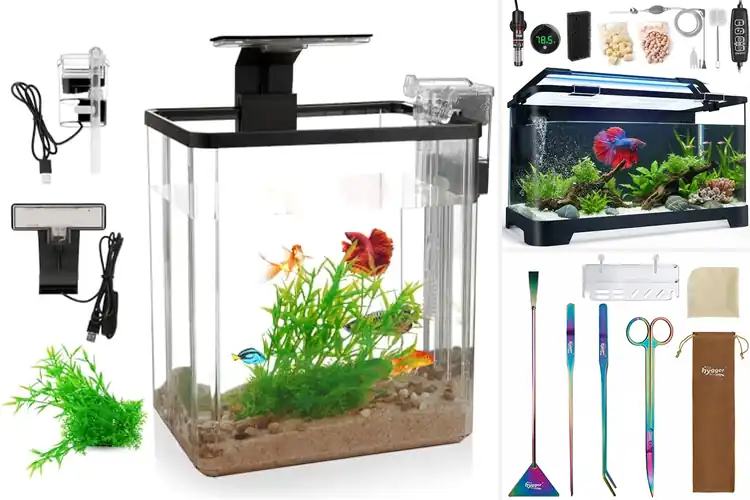 Detailed view of Best Gift For Aquarium Starters