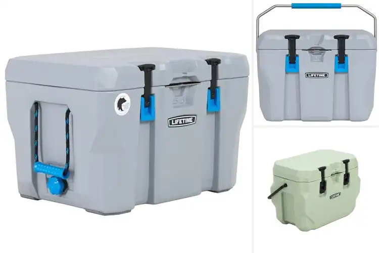 Detailed view of Best High-Performance Coolers