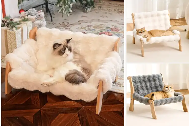 Detailed view of Best Modern Cat Sofa: Stylish Comfort for Your Feline Friend