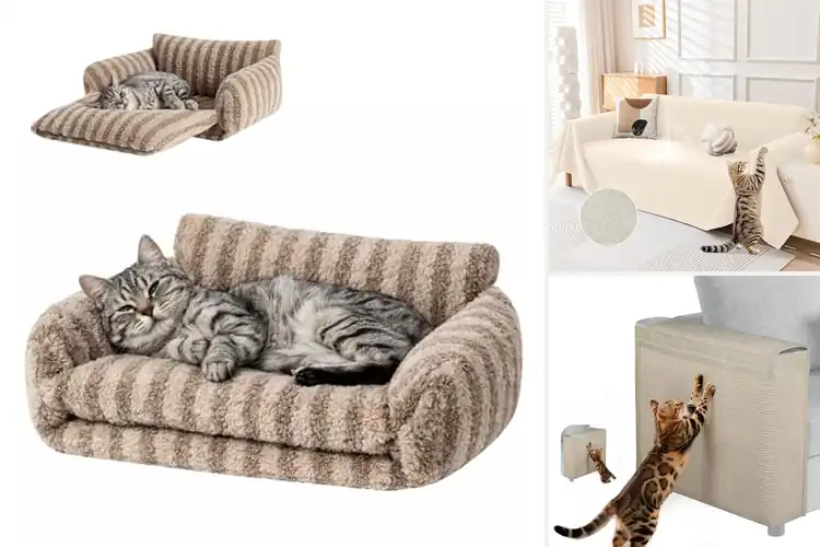 Detailed view of Best Neutral Color Cat Couch