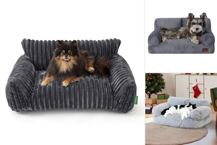 Detailed view of Best Pet Sofa For Cats And Small Dogs
