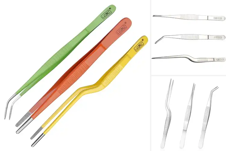 Detailed view of Best Plant Tweezers