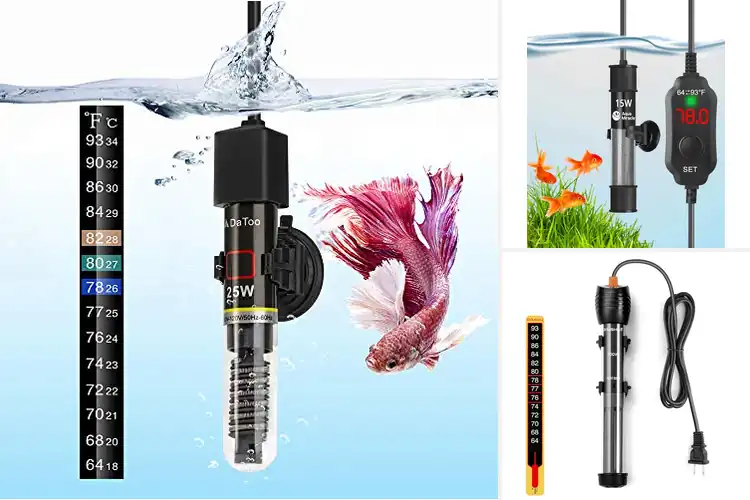 Detailed view of Best Plastic Tank Heaters