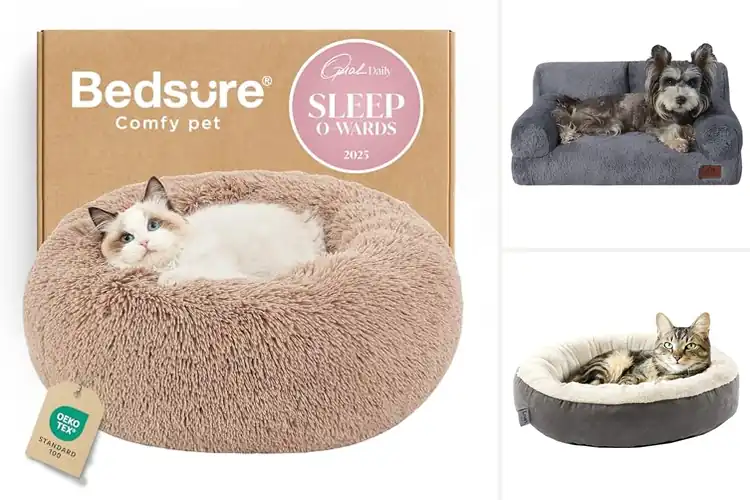 Detailed view of Best Raised Edge Cat Bed
