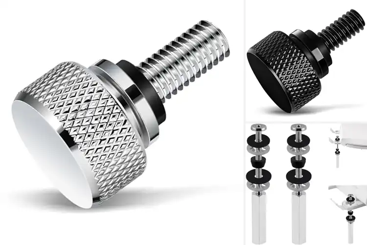 Detailed view of Best Stainless Steel Seat Screws