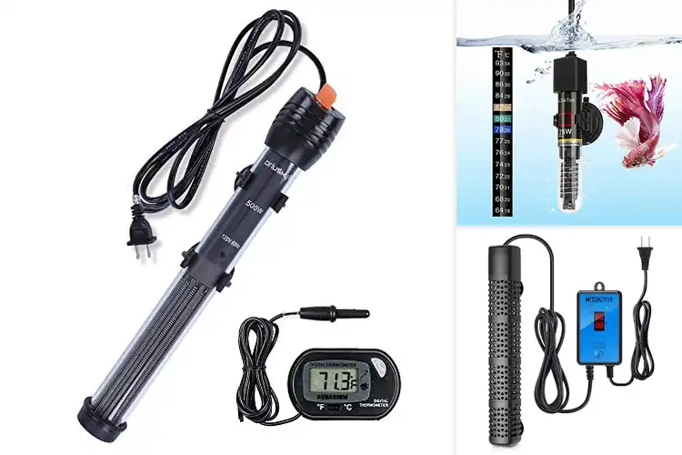 Detailed view of Best Tank Heaters: Top 10 Picks for a Thriving Aquarium